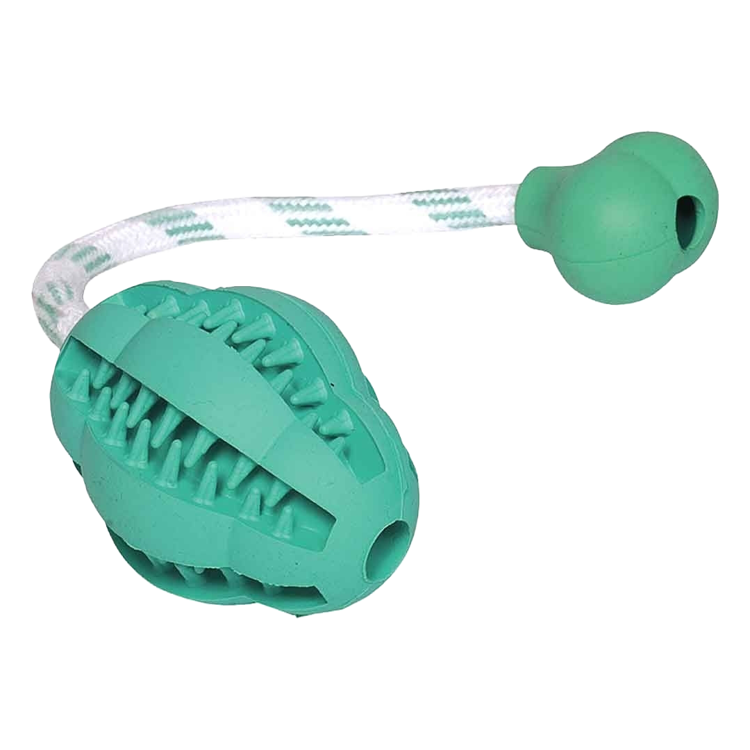 Grünes Gummispielzeug mit Rillen und Noppen, befestigt an weiß-grün gestreifter Kordel mit Knoten am Ende.