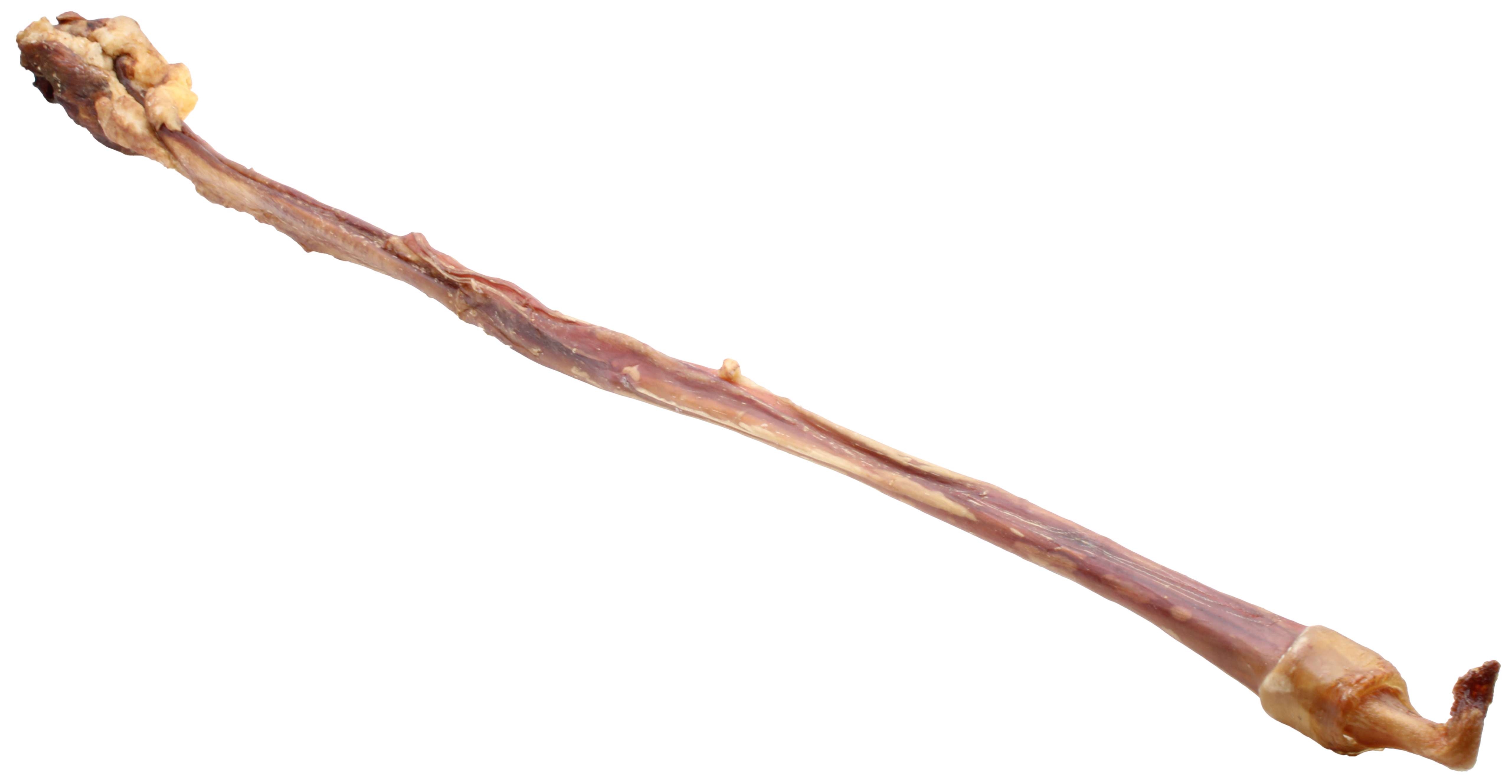 Kalbsziemer 1 Stk ca. 90-100 cm getrocknet