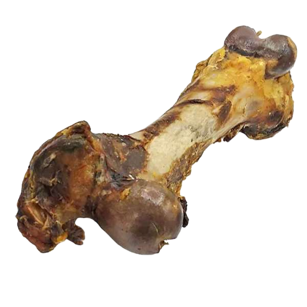 Ein heller, länglicher Rinderknochen mit zwei stark verdickten Enden und teils haftenden, dunklen Fleisch- und Knorpelresten in unregelmäßiger Form.