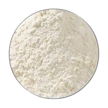 Ein kreisförmiger Bildausschnitt zeigt ein fein gemahlenes, hellbeiges bis cremefarbenes Pulver mit leicht unregelmäßiger, körniger Struktur.