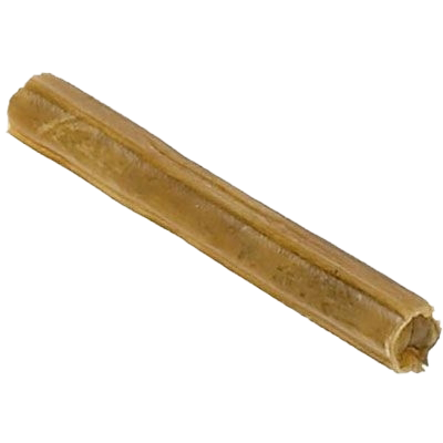 Braune Kaustange in Zylinderform mit rauer Oberfläche und hohlem Inneren, leicht gebogen und naturbelassen wirkend.