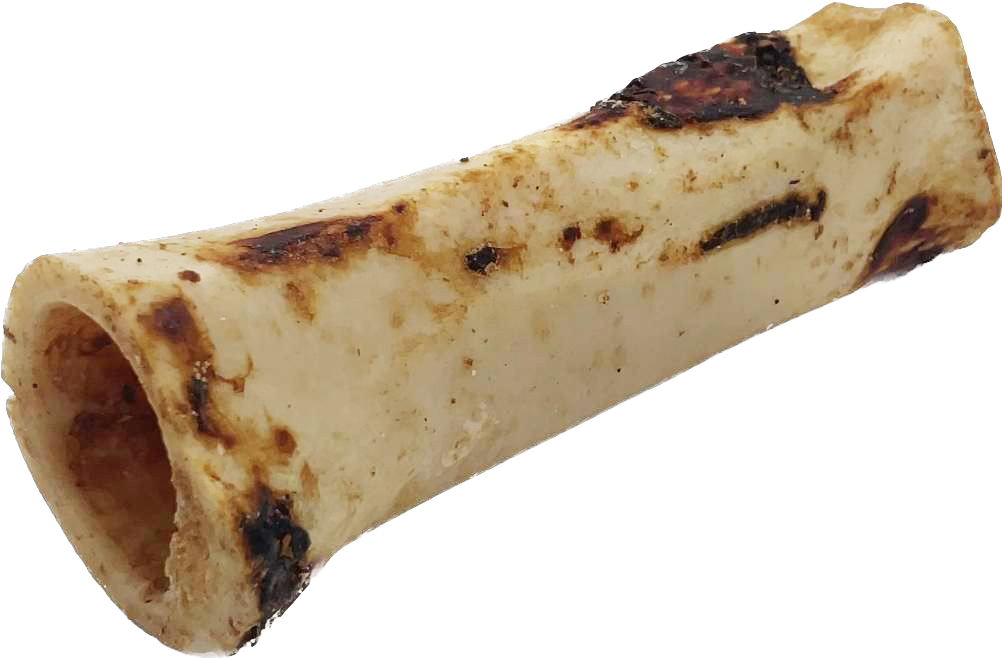 Ein hohler, zylindrischer Rinderknochen mit glatter, hellbeiger Oberfläche und braunen Röstspuren. Die Schnittflächen sind offen und zeigen die Innenstruktur.