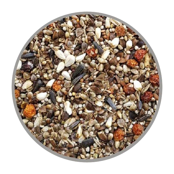 Nahaufnahme einer Mischung aus Sonnenblumenkernen, Kürbiskernen, kleinen Körnern und orangefarbenen Trockenfrüchten in runder Darstellung mit grauem Rand.