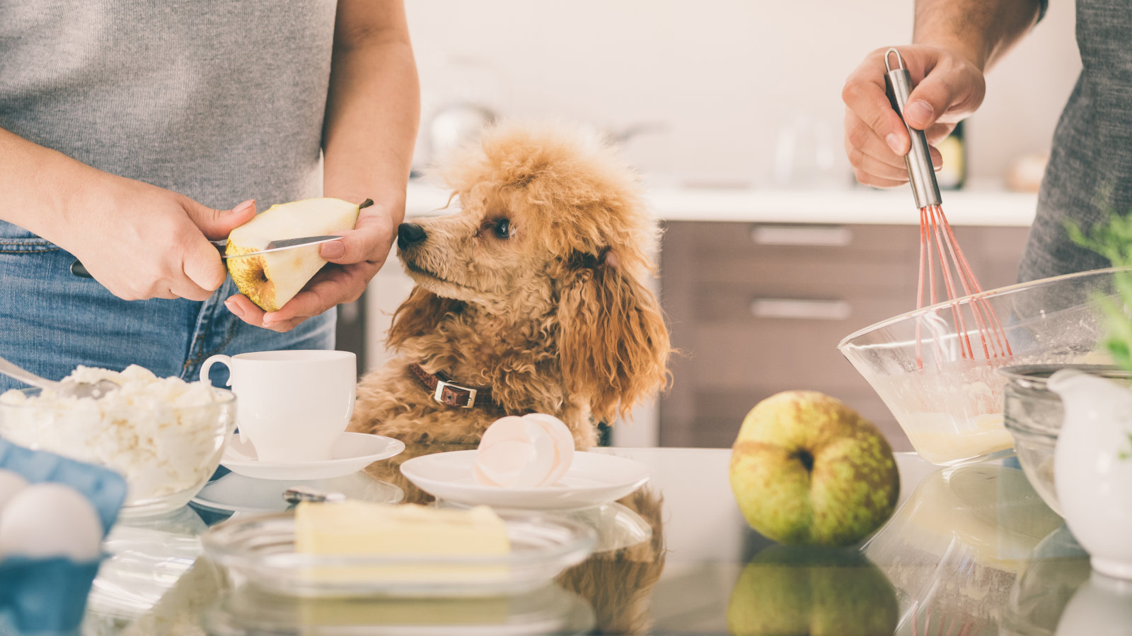 duerfen-hunde-birnen-essen duerfen-hunde-birnen-essen