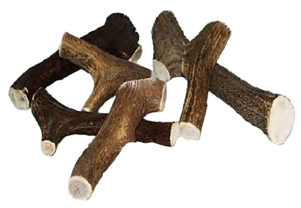 Mehrere verzweigte Stücke braunes Geweih mit hellen Schnittflächen auf weißem Hintergrund