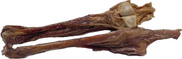 Zwei getrocknete Pferdeachillessehnen mit Knochen mit langen, faserigen Strukturen in braun-grauer Farbe, an einem Ende mit deutlich sichtbarem Knochenansatz und sehniger Textur.
