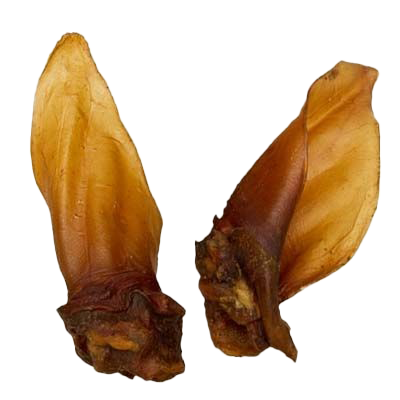 Zwei getrocknete Rinderohren mit Muschel in glänzendem Hellbraun. Die Ohren sind schmal, leicht gebogen und zeigen eine glatte, feste Oberfläche.