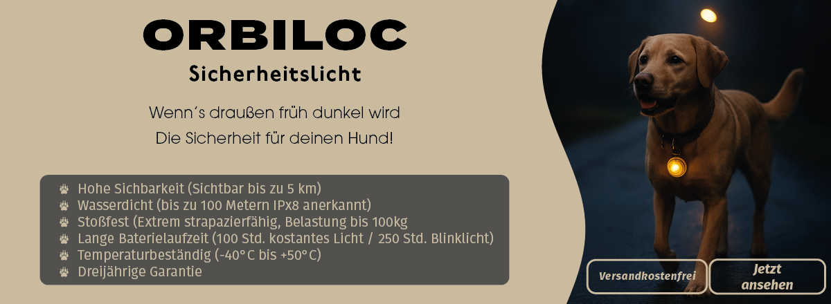 Ein brauner Hund steht bei Dunkelheit auf der Straße und trägt am Halsband ein rundes, gelb leuchtendes Orbiloc-Sicherheitslicht. Links daneben Produktinfos im Kasten