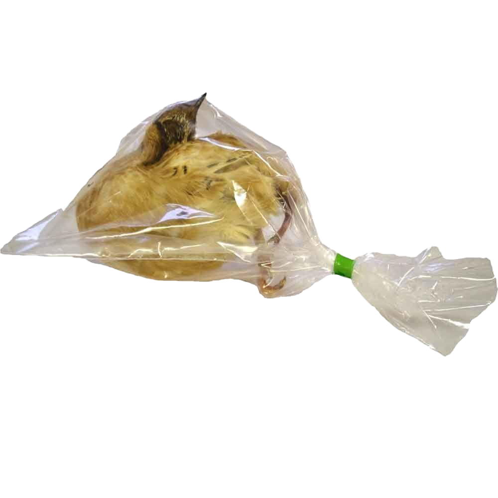 Eine ganze Wachtel mit gelbbraunem Gefieder liegt tiefgefroren in einem durchsichtigen Kunststoffbeutel, der seitlich mit einem grünen Clip verschlossen ist.