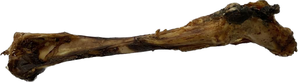 Ein braun-grauer Hirschknochen mit unregelmäßiger Oberfläche und leichtem Fleischansatz. Der Knochen ist lang und schlank, an beiden Enden stärker ausgeprägt.