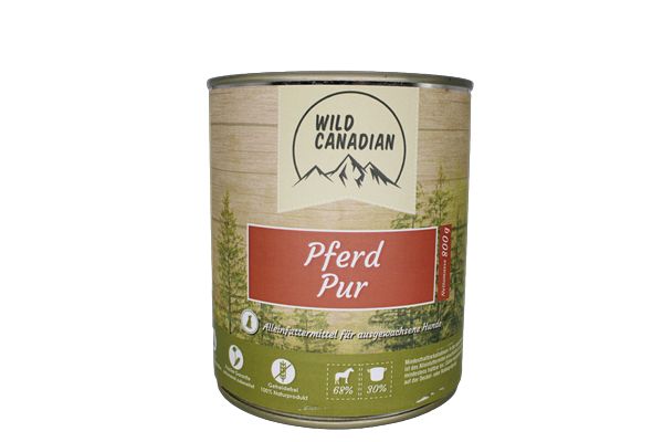 Wild Canadian Pferd pur