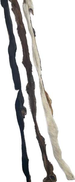 Rinderkopfhautstange mit Fell 70cm