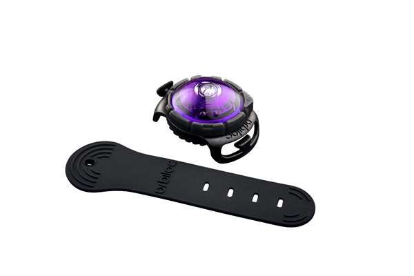 Orbiloc Dog Dual LED Sicherheitslicht