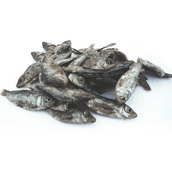 Sprotten getrocknet 200g