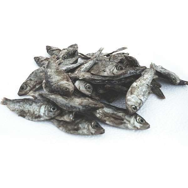 Sprotten getrocknet 200g