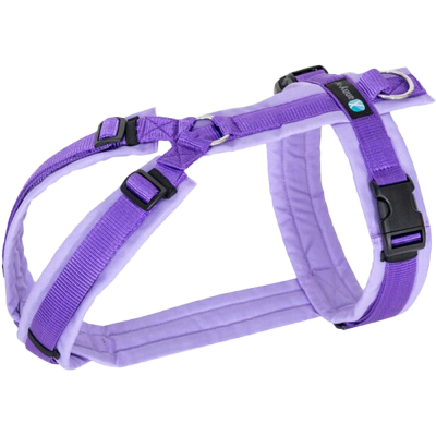 Lavendelfarbenes Hundegeschirr mit verstellbaren Riemen, Kunststoffschnallen und einem Metallring zur Leinenbefestigung.