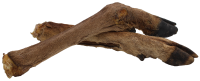 Zwei getrocknete Hirschbeine mit braunem Fell und dunklen Hufen, länglich und naturbelassen, auf heller Fläche präsentiert.