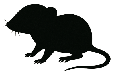 Eine schwarze Silhouette einer Maus mit rundem Körper, kurzen Beinen, feinen Schnurrhaaren und langem, leicht gebogenem Schwanz. Die Form hebt sich klar vom hellen Hintergrund ab.
