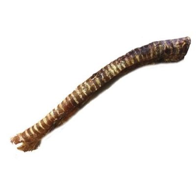 Ganze Rinderstrossen ca. 40 cm 1 kg Eine ganze, längliche Rinderstrosse mit deutlicher Ringstruktur. Die Oberfläche zeigt braun-beige Farbtöne und ist leicht gebogen mit faserig ausgefranstem Ende.
