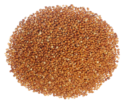 Großer Haufen kleiner, rundlicher, rotbrauner Samen, dicht aneinandergelagert und gleichmäßig in Größe und Form.