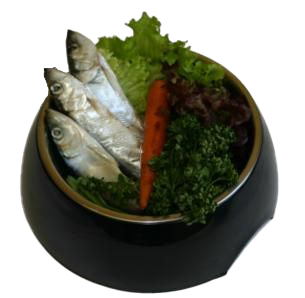 Ein schwarzer Napf mit drei silbrig-grauen Heringen, die auf grünem und rotem Salat sowie einer ganzen Karotte liegen.