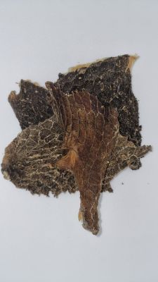 Getrocknete, flach gebogene Stücke vom Rinderpansen in dunkelbrauner bis schwarzbrauner Farbe mit teils wabenartiger und rauer Oberflächenstruktur.