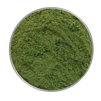 Ein rundes Sichtfenster mit fein gemahlenem, intensiv grünem Pulver. Die Oberfläche wirkt locker und gleichmäßig strukturiert ohne sichtbare Klumpen