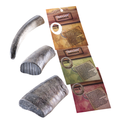 Mehrere gebogene und geschnittene Stücke Kamelhorn in Grau bis Anthrazit mit harter, glatter Oberfläche, unterschiedlich groß dargestellt, daneben schmale Produktinformationskarten, freigestellt.