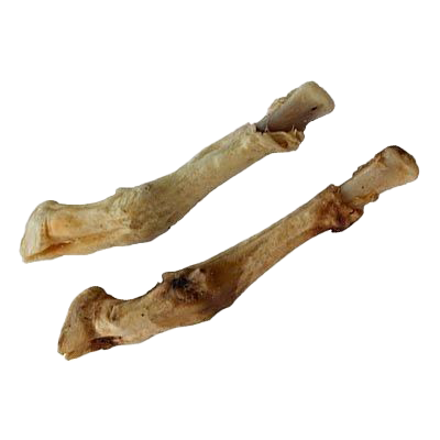 Zwei gebogene, helle Knochen mit leicht bräunlichen Stellen und unregelmäßiger Oberfläche, getrocknete Lammpfoten auf weißem Hintergrund.