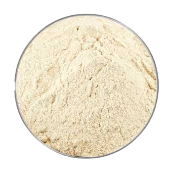 Ein fein gemahlenes, hellbeiges Pulver mit homogener, trockener Struktur, von oben fotografiert in einer runden Nahaufnahme auf weißem Hintergrund.