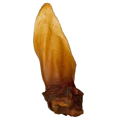 Ein länglicher, naturbelassener Kausnack in gelblich-brauner Farbe mit fester, leicht glänzender Oberfläche und unregelmäßiger, nach unten breiter werdender Form.