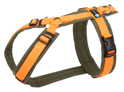 Hundegeschirr mit orangefarbenen und olivgrünen Riemen. Verstellbare Schnallen, schwarzer Kunststoffverschluss und kleines blaues Etikett an einem der Gurte.