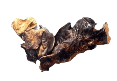 Mehrere unregelmäßig geformte Stücke getrockneter Lammlunge in hellbrauner bis fast schwarzer Farbe, mit teils glatter, teils poröser Oberfläche und natürlichen Bruchkanten.