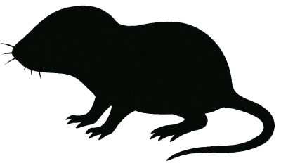 Eine schwarze Silhouette einer Maus mit rundem Körper, kurzem Kopf, feinen Schnurrhaaren und langem Schwanz. Die einfache Form hebt sich deutlich vom hellen Hintergrund ab.