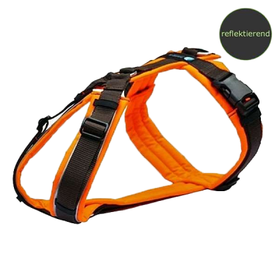 Orangenes Hundegeschirr mit gepolsterten, verstellbaren Riemen, schwarzen Schnallen und Metall-D-Ring oben. Kleiner blauer Aufnäher an der Oberseite.