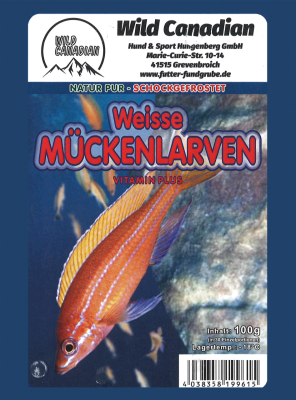 Weiße Mückenlarven klein Frostfischfutter