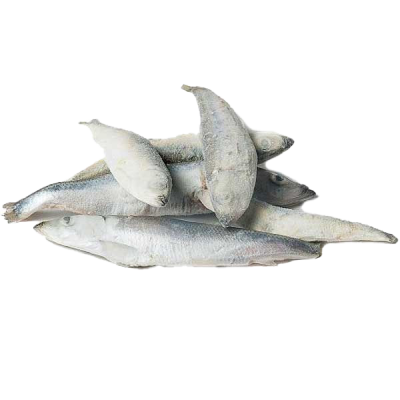 Mehrere ganze, gefrorene Stinte mit silbrig-weißlicher Oberfläche liegen locker übereinander auf hellem Untergrund.