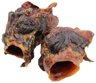 Getrockneter Pferdekehlkopf in dunkelbrauner bis schwarzbrauner Farbe, in kurze röhrenförmige Stücke geschnitten, mit faseriger, ledriger Oberfläche und sichtbarer Hohlstruktur.