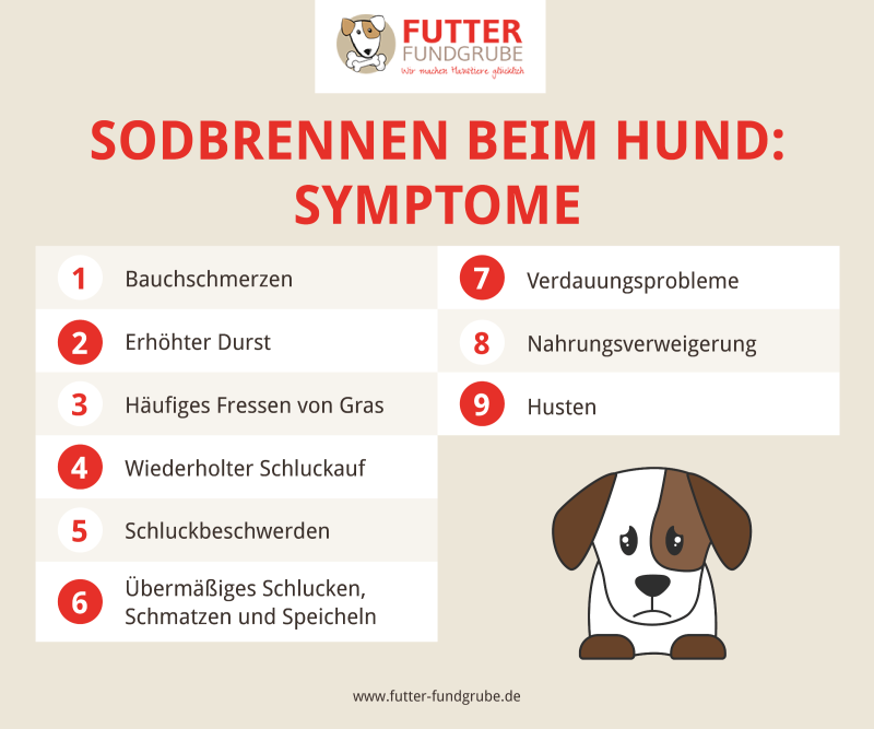 sodbrennen-hund-symptome_800x800.png?ts=1748780901