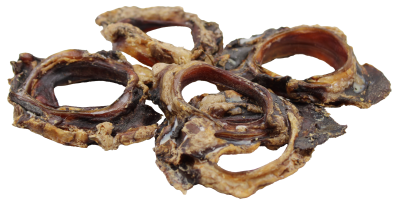 Mehrere getrocknete Kehlkopfringe vom Tier, ringförmig geschnitten, mit unregelmäßiger Struktur, festem Knorpelanteil und braun-beiger bis dunkelbrauner Farbgebung.