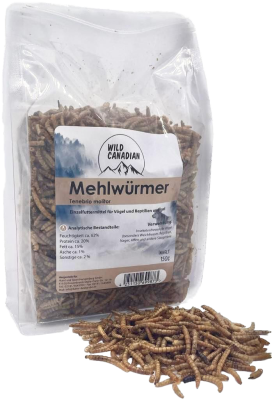 Eine durchsichtige Kunststoffverpackung mit braunem Etikett und der Aufschrift „Mehlwürmer“. Davor liegt ein kleiner Haufen getrockneter Mehlwürmer auf weißem Hintergrund.