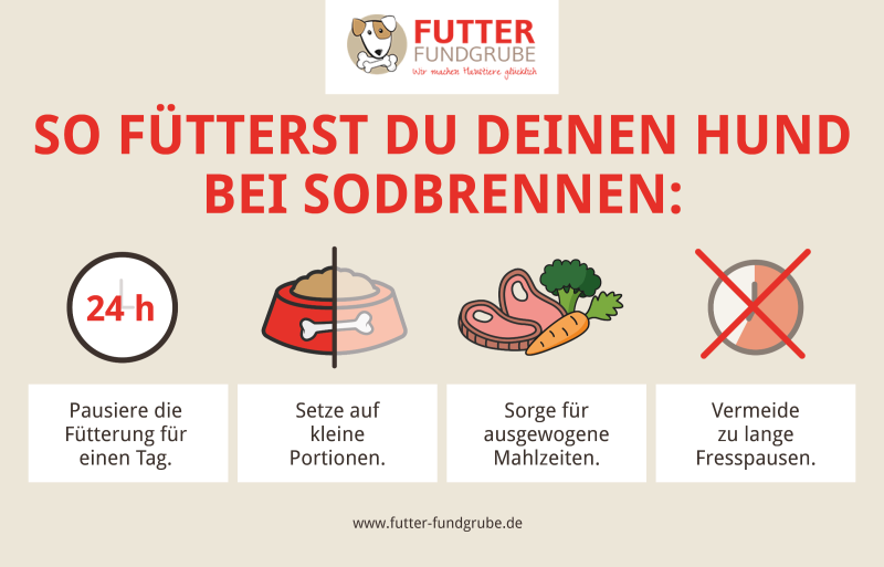 sodbrennen-hund-fuettern_800x800.png?ts=1748780889
