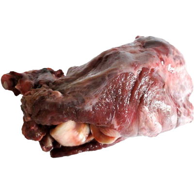 Ein fleischiger Rinderkehlkopf mit Knochen. Die Oberfläche ist glänzend, dunkelrot bis rosa, mit sichtbaren Muskel- und Knorpelstrukturen sowie teilweise offenliegenden Gelenken.