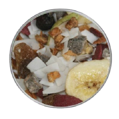 Ein bunter Früchtemix mit hellen Kokoschips, einer getrockneten Bananenscheibe, roten und braunen Fruchtstücken sowie vereinzelten grauen Brocken.