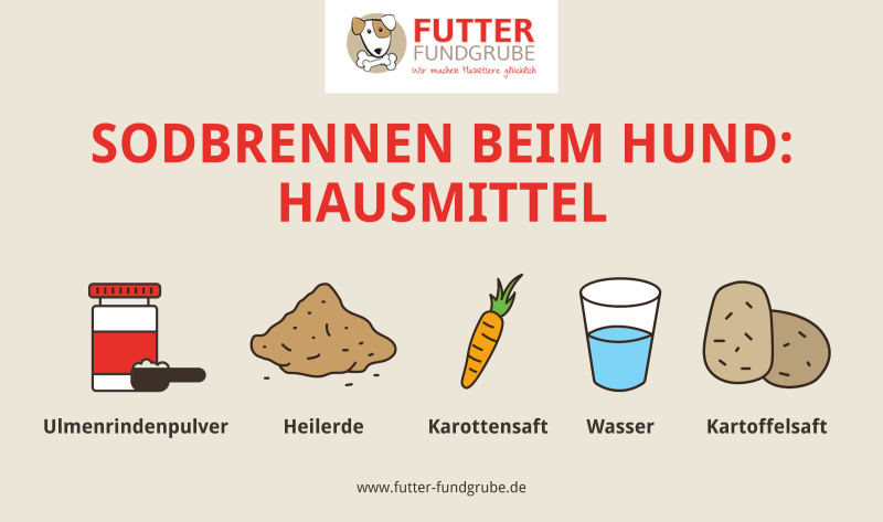 sodbrennen-hund-hausmittel_800x800.png?ts=1748780490
