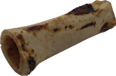 Ein hohler, zylindrischer Rinderknochen mit glatter, hellbeiger Oberfläche und braunen Röstspuren. Die Schnittflächen sind offen und zeigen die Innenstruktur.