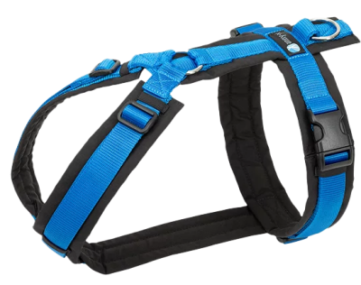 Blaues Hundegeschirr mit mehreren verstellbaren Riemen, Kunststoffschnallen und einem glänzenden Metallring. Die Oberfläche wirkt glatt und robust