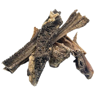  Mehrere unregelmäßig geformte Stücke getrockneter Lammpansen mit rauer, poröser Oberfläche in verschiedenen Braun- und Beigetönen auf weißem Hintergrund.