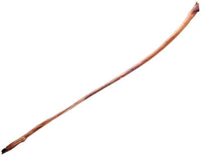 Langer, getrockneter Ochsenziemer mit leicht gebogener Form, faseriger Struktur und variierenden Braun- und Rottönen, auf weißem Hintergrund.