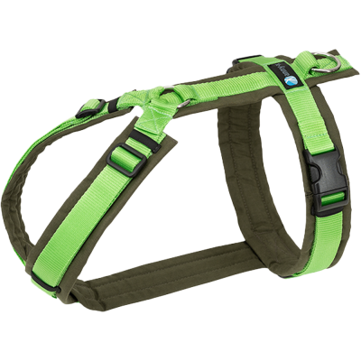 Neongrünes Hundegeschirr mit mehreren verstellbaren Riemen, Kunststoffschnallen und einem glänzenden Metallring. Die Oberfläche wirkt glatt und robust.